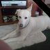 Joan Thorpe - Facebook