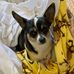Joan Tilley - Facebook