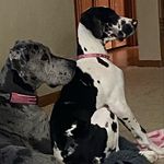 Joan Tilley Mobley - @mobleyjoantilley - Instagram