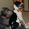 joantilleymobley - @joantilleymobley - TikTok