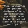 Joanne Brewer Timmons - @joanne.brewer.tim - TikTok