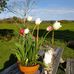 Joanne Treadwell - Facebook