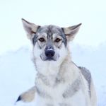 @joan.tremblay - Instagram