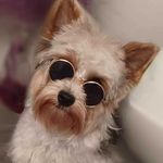 Joan Tremblay - @joantremblay149 - Instagram