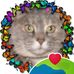 Joan Tremblay - Facebook