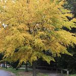 Joan Uhl - @joan.uhl.12 - Instagram