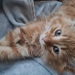 Joan butterly - @joanbutterly - Instagram