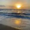 joannewilsonutter - @joannewilsonutter - TikTok