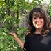 Jo-Anne Zonca Vaccaro - Facebook