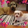 Joanne Vaccaro - @joanne.vaccaro - TikTok
