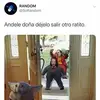 Joan Valdes - @joanvaldes80 - TikTok