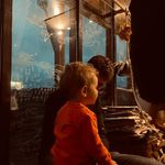 JoanvanAggelen - @joan_van_aggelen - Instagram
