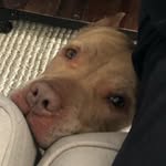 Joan - @joan_vernon07 - Instagram