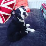 Joan Vernon - @vernonjoan - Instagram