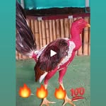 Joan Visente Vicente - @joanvicente36 - Instagram