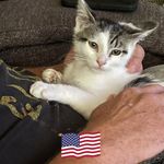 Joan M Gerrits-Vickers - @joanmvickers - Instagram