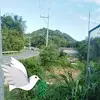 Joan Viñas - @joan.vias4 - TikTok