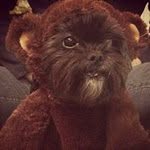 Joan Wakefield-Palkovich - @wakefieldpalkovich - Instagram