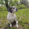 joannwaldrop - @joannwaldrop - TikTok