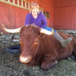 Joan Walker - Walker Farm - @joanie.walker - Instagram
