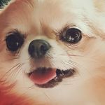 Joan Waugh - @joanwaugh2524 - Instagram