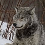 Joan Wegner Moore - @jemoore473 - Instagram