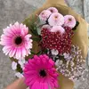 Joan wells - @joan.wells8 - TikTok