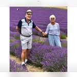 Joan Wells - @joanwells3201 - Instagram