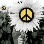 Joan Welsh - @jmkg2604 - Instagram