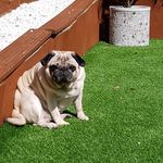 Joan Welsh - @joan.welsh.940 - Instagram