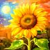 Jo Westphal - Facebook