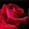 Jo Ann Whitaker - @user404949155 - TikTok
