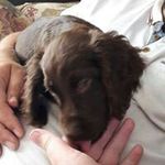 Joan Whitehead - @joanwhitehead26 - Instagram