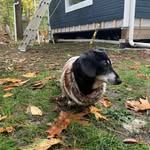 Joan Whitehouse Rundle - @joanrundle - Instagram