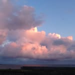 Joan Whyte - @joanmwhyte - Instagram