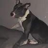 Joanna Whyte - @joanna.whyte - TikTok