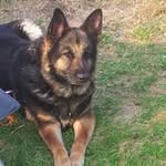 Joan Wilden - @wildenjoan - Instagram