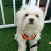 Joan Winget - @joanwinget - TikTok