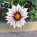 Emily Joan Witherspoon - @emily.j.witherspoon - Instagram