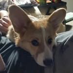 Joan Southworth - @joansouthworth - Instagram