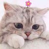 Joan WU - @joan_wu - TikTok