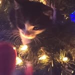 Joan Yeager - @joanyeager_1956 - Instagram