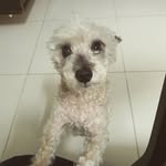 Joan Yim - @joanyim - Instagram