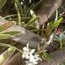 Joana Costa - Facebook