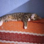 Joana Torres - Facebook