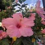 Joanie Barrett - @joaniebarrett1 - Instagram