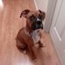 Joanie Bryant - Facebook