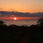 Joanie Collins - @lilikoigem - Instagram