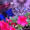 Joanne Ellis - @joanne.ellis - TikTok