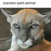 joanne stephens - @joanne.stephens51 - TikTok